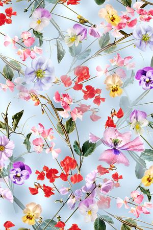 碎花印花华亿平台图片