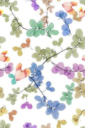 叶子印花华亿平台图片