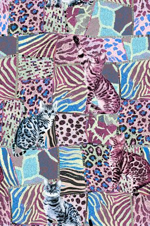 动物纹印花华亿平台图片