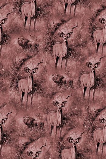 807757-老虎小鹿3