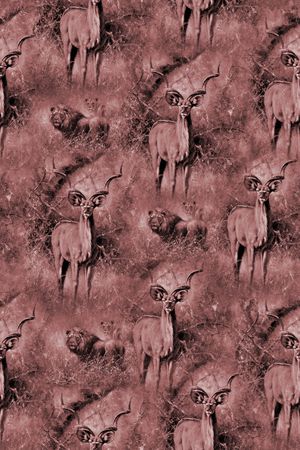 老虎印花华亿平台图片