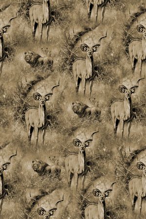 老虎印花华亿平台图片