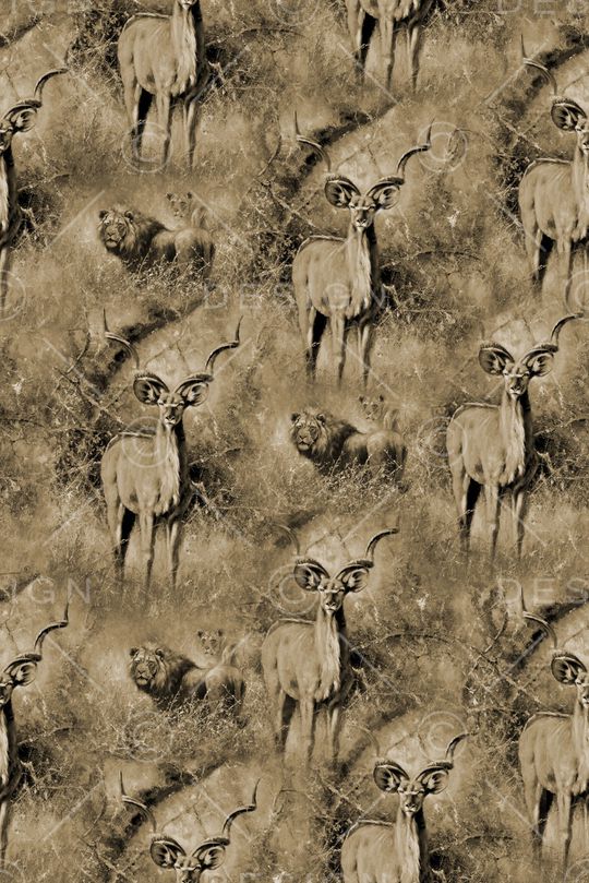 老虎印花华亿平台图片