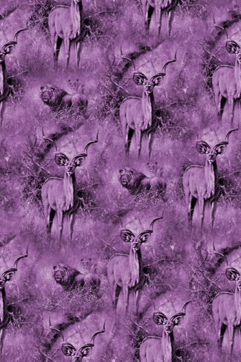 807760-老虎小鹿5