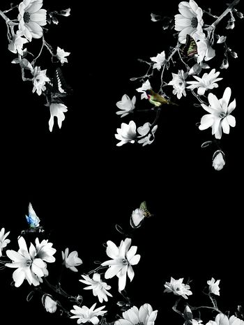 数码印花印花华亿平台图片