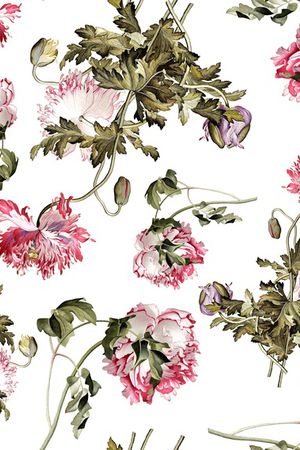 宫廷风奢侈刺绣花卉印花华亿平台图片