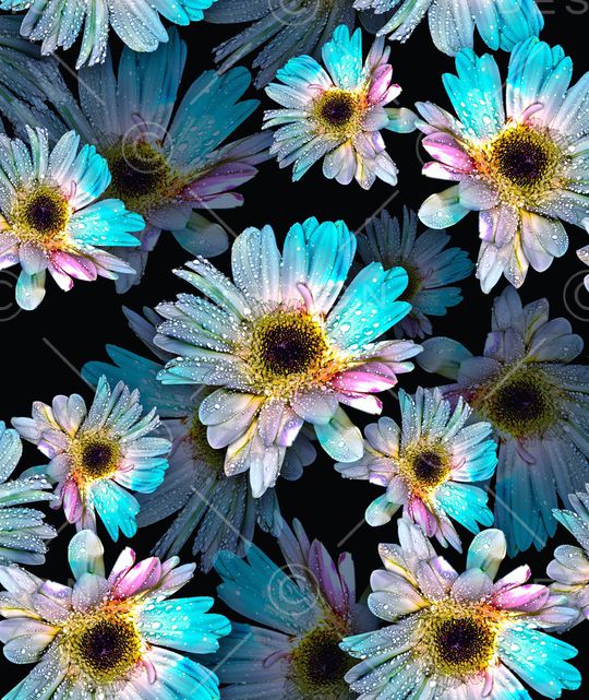 时尚花卉印花华亿平台图片