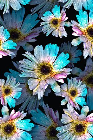 时尚花卉印花华亿平台图片