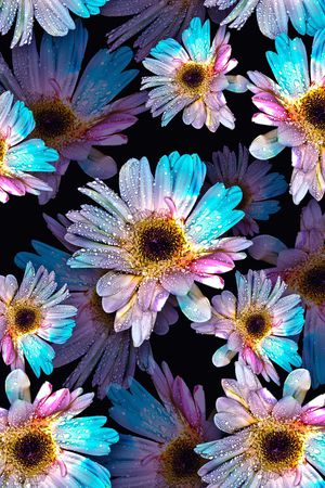 时尚花卉印花华亿平台图片