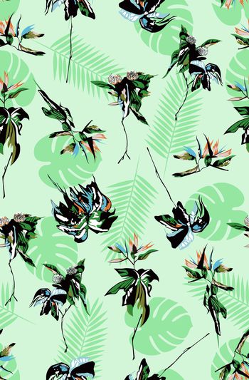 808532-抽象热带叶子