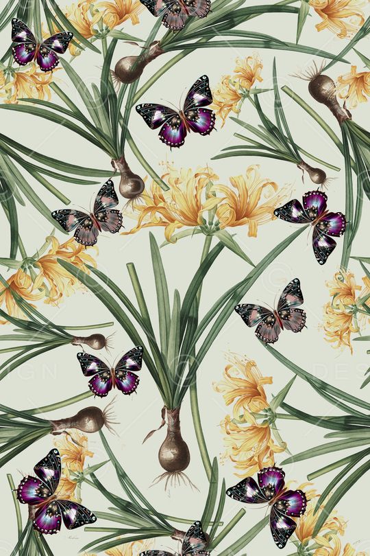 蝴蝶印花华亿平台图片