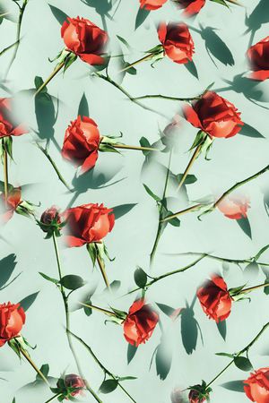 玫瑰花印花华亿平台图片