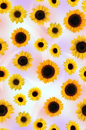 几何花卉组合印花华亿平台图片