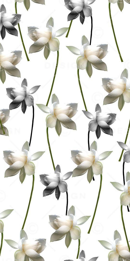 数码印花华亿平台图片