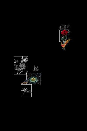 动物印花华亿平台图片