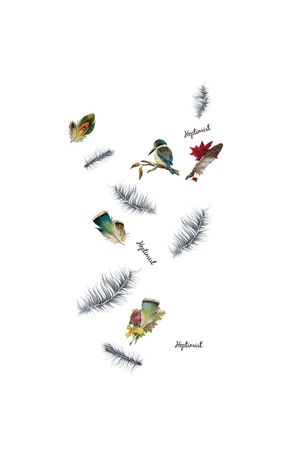 鸟印花华亿平台图片