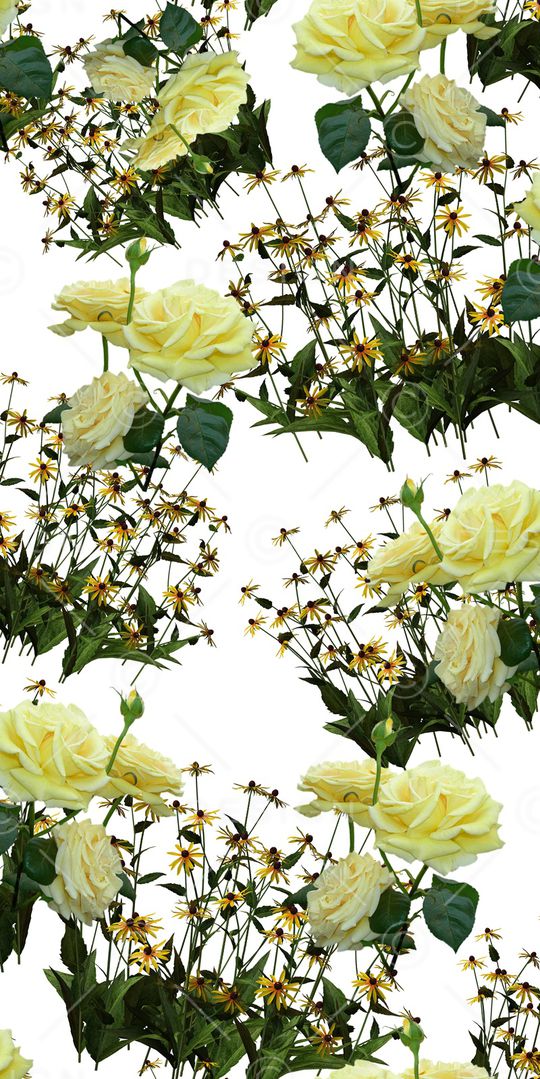 玉兰花印花华亿平台图片