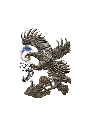 老鹰印花华亿平台图片