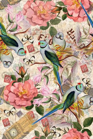 鹦鹉印花华亿平台图片