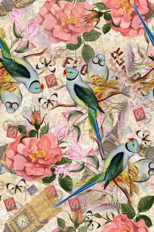 鹦鹉印花华亿平台图片