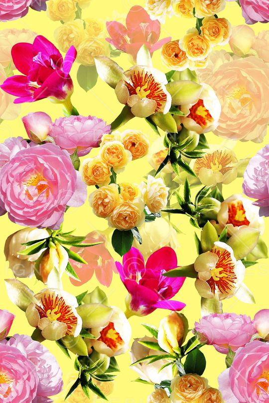 玫瑰印花华亿平台图片