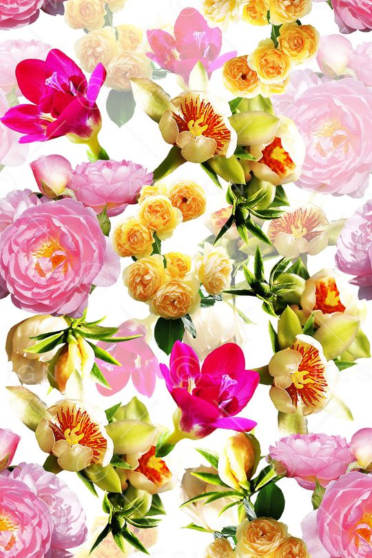 玫瑰印花华亿平台图片