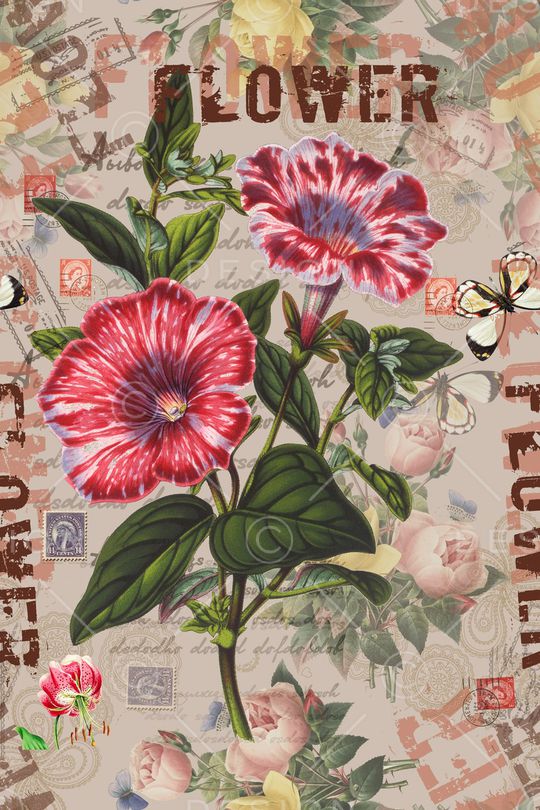 时尚花卉印花华亿平台图片