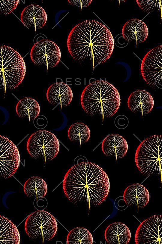 叶子印花华亿平台图片