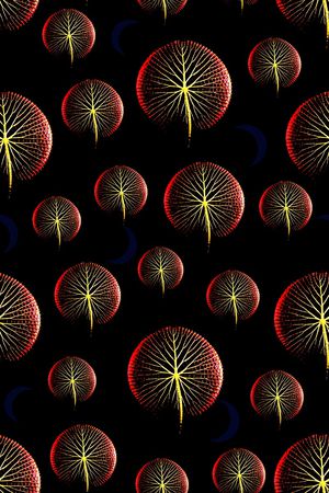 叶子印花华亿平台图片