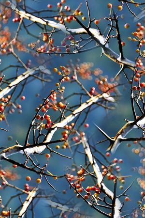 水彩印花华亿平台图片