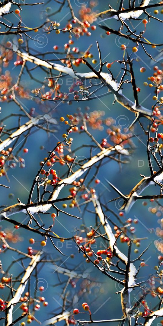 水彩印花华亿平台图片