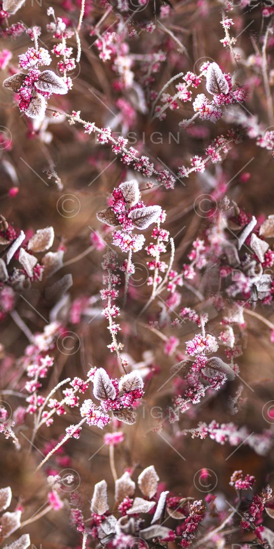 水彩印花华亿平台图片