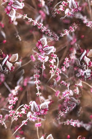 水彩印花华亿平台图片