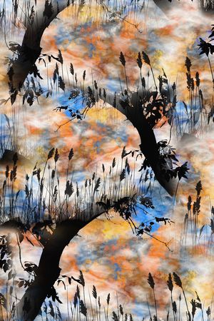 树印花华亿平台图片