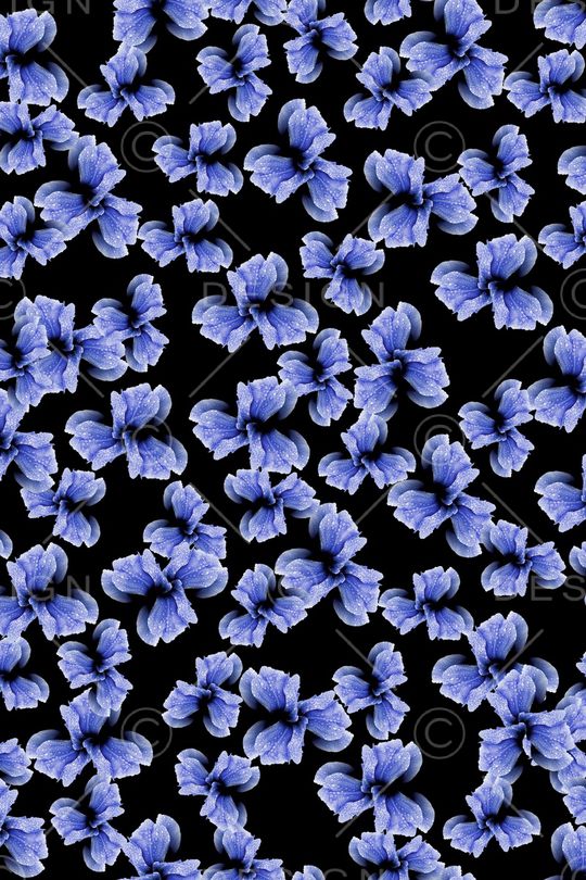 花朵印花华亿平台图片