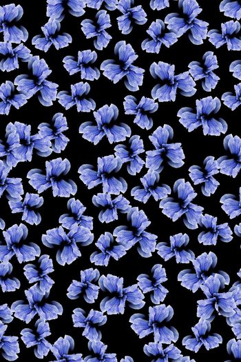 花朵印花华亿平台图片