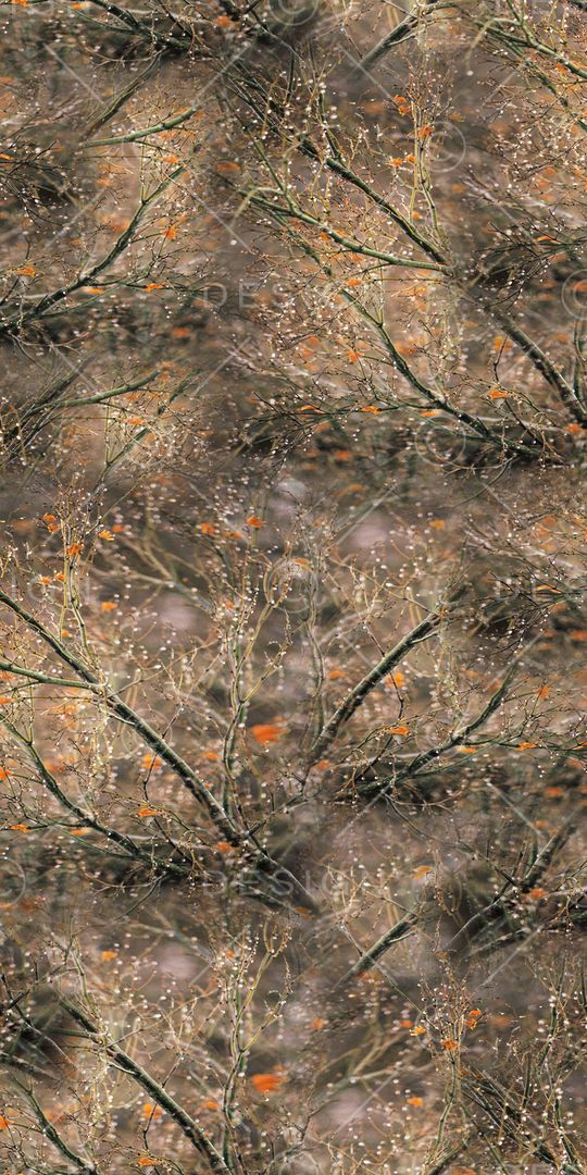 满版花印花华亿平台图片