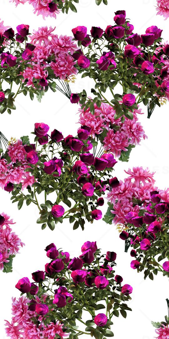 牡丹印花华亿平台图片