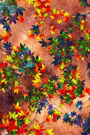 棕榈叶印花华亿平台图片