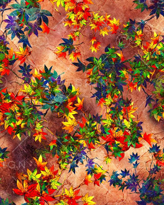 棕榈叶印花华亿平台图片