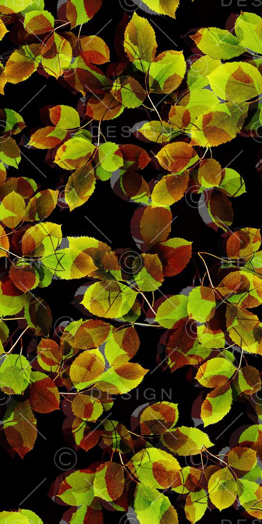 棕榈叶印花华亿平台图片