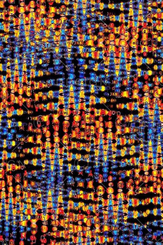 动物印花华亿平台图片