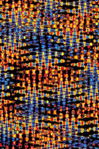 动物印花华亿平台图片