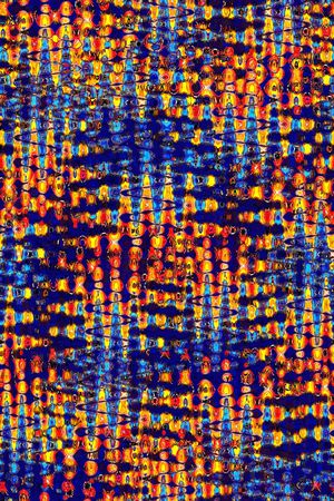 动物印花华亿平台图片