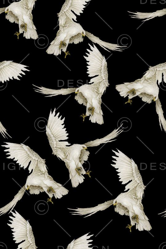 动物印花华亿平台图片