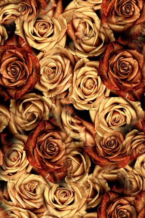 复古玫瑰印花华亿平台图片