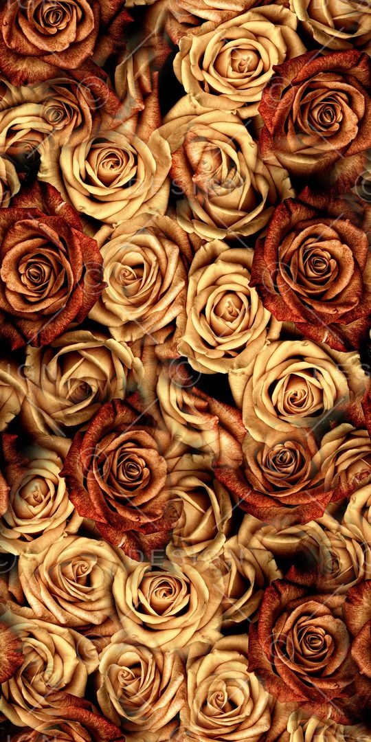 复古玫瑰印花华亿平台图片