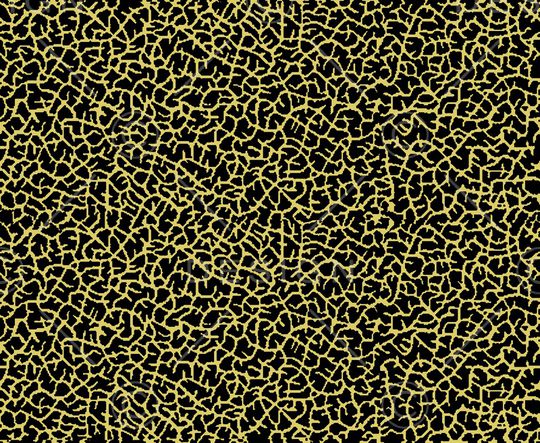 纹理印花华亿平台图片