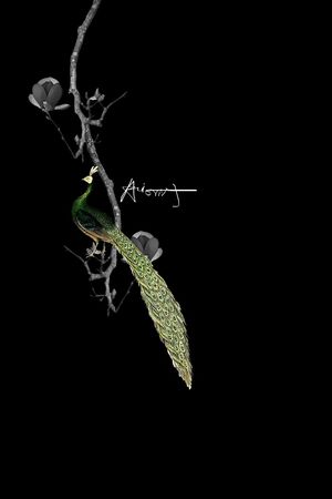 鸟印花华亿平台图片