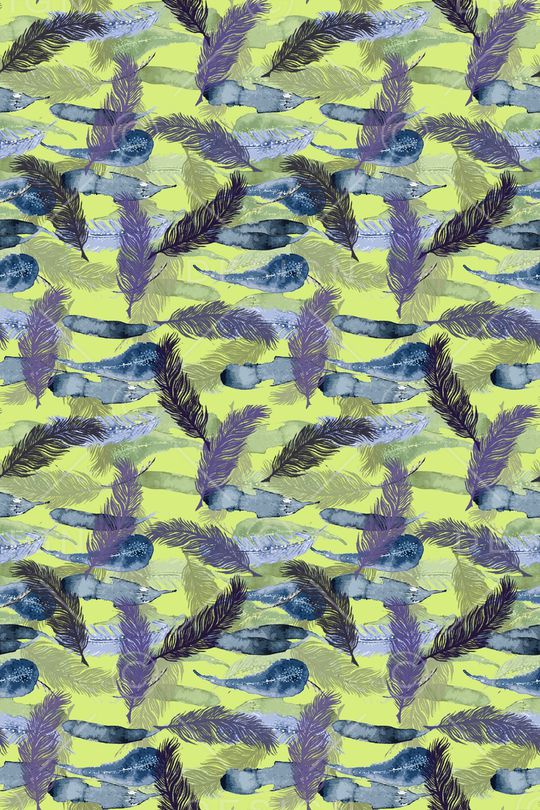 羽毛组合印花华亿平台图片